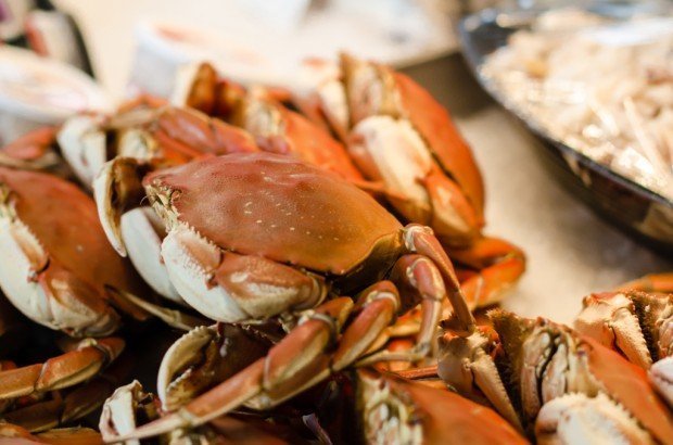 crabs